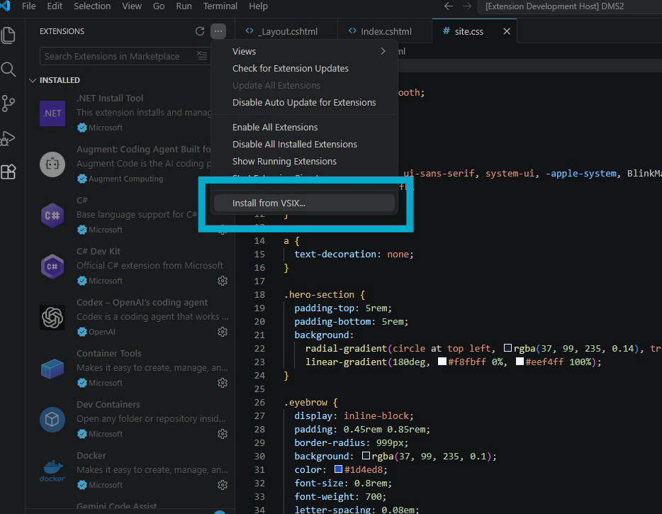 The Extensions view menu with Install from VSIX selected