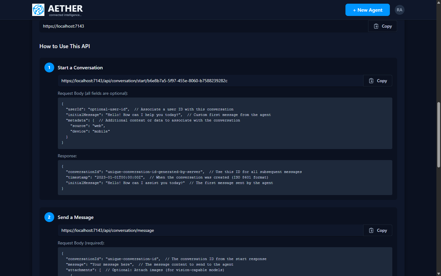 The agent's API integration section with endpoints and JSON examples